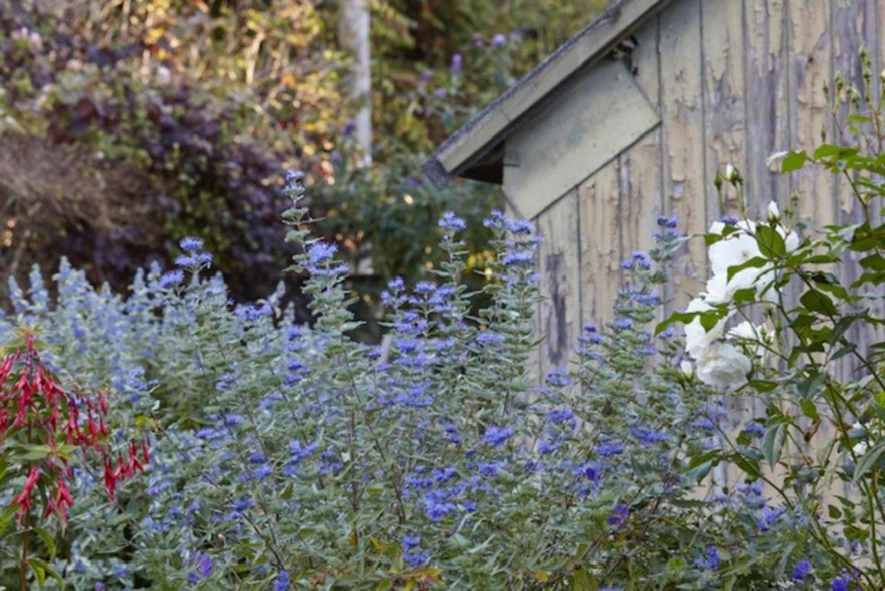 Lavender Cottage Beer Extérieur photo